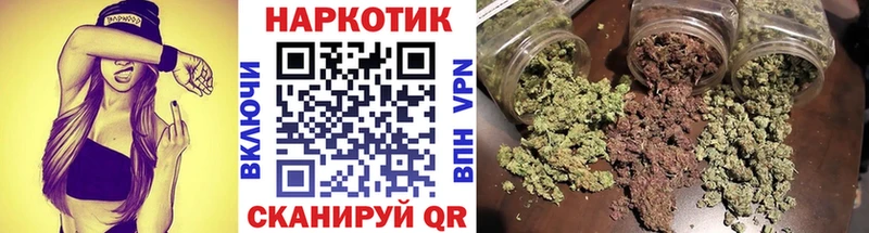 Где купить наркотики Пустошка Альфа ПВП  COCAIN  МЕФ  Бошки Шишки  ГАШИШ 