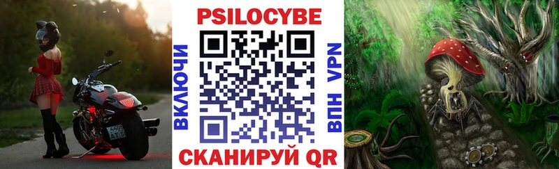 нарко площадка какой сайт  наркота  Пустошка  Галлюциногенные грибы GOLDEN TEACHER 