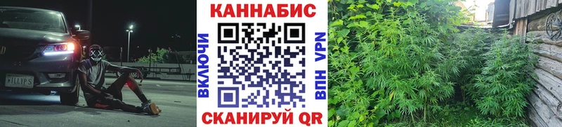 даркнет сайт  Пустошка  Конопля план 
